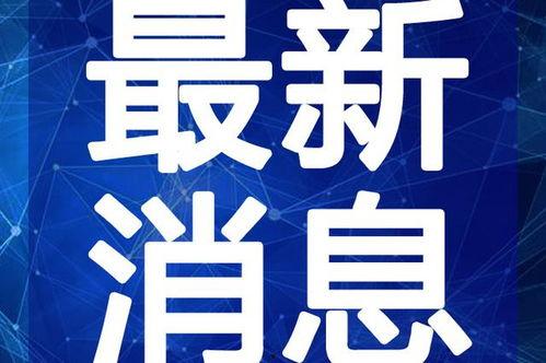 王室最新爆料新闻视频在线观看,最新爆料新闻视频在线观看,揭开王室神秘面纱